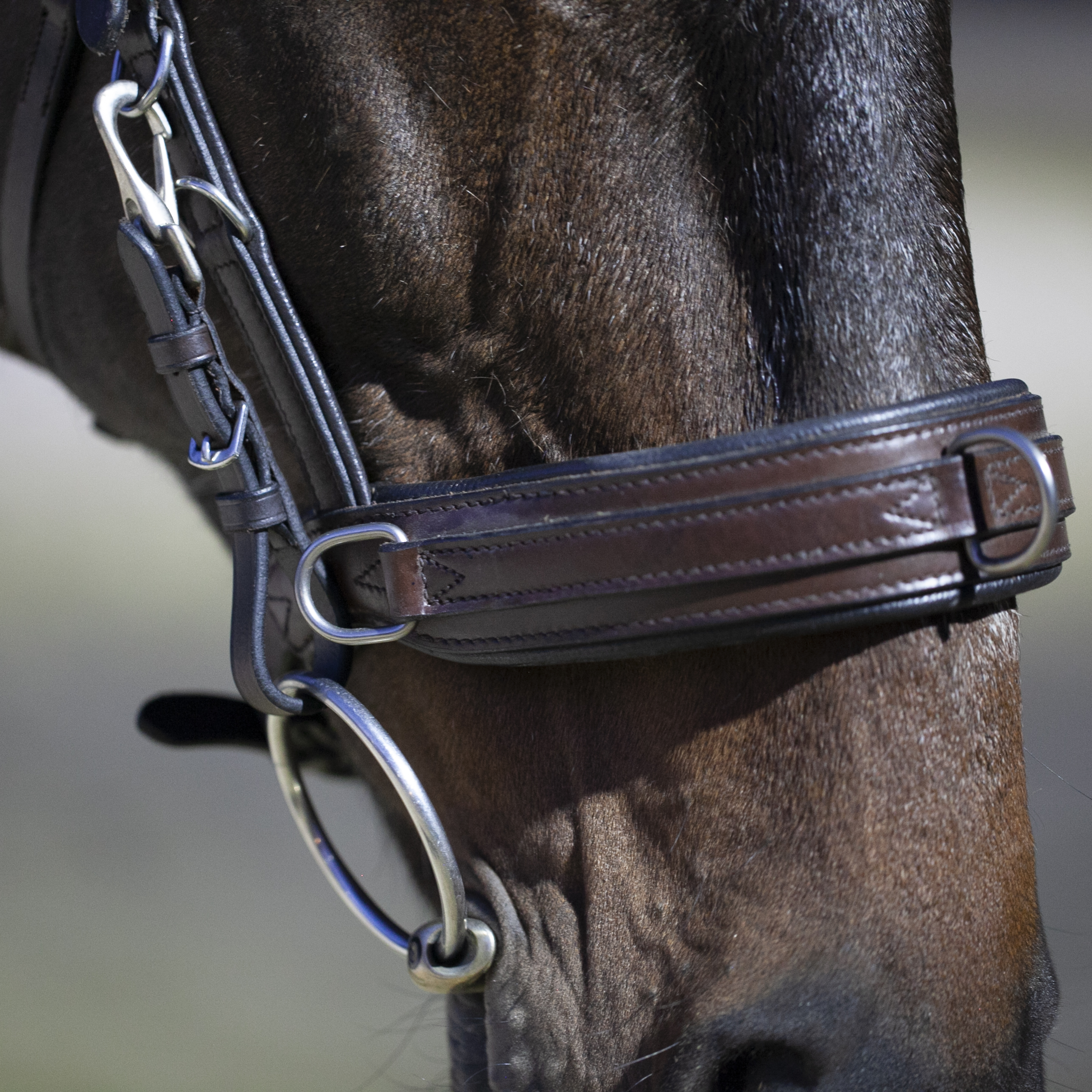 Кавессон Anatomic Cavesson чёрный