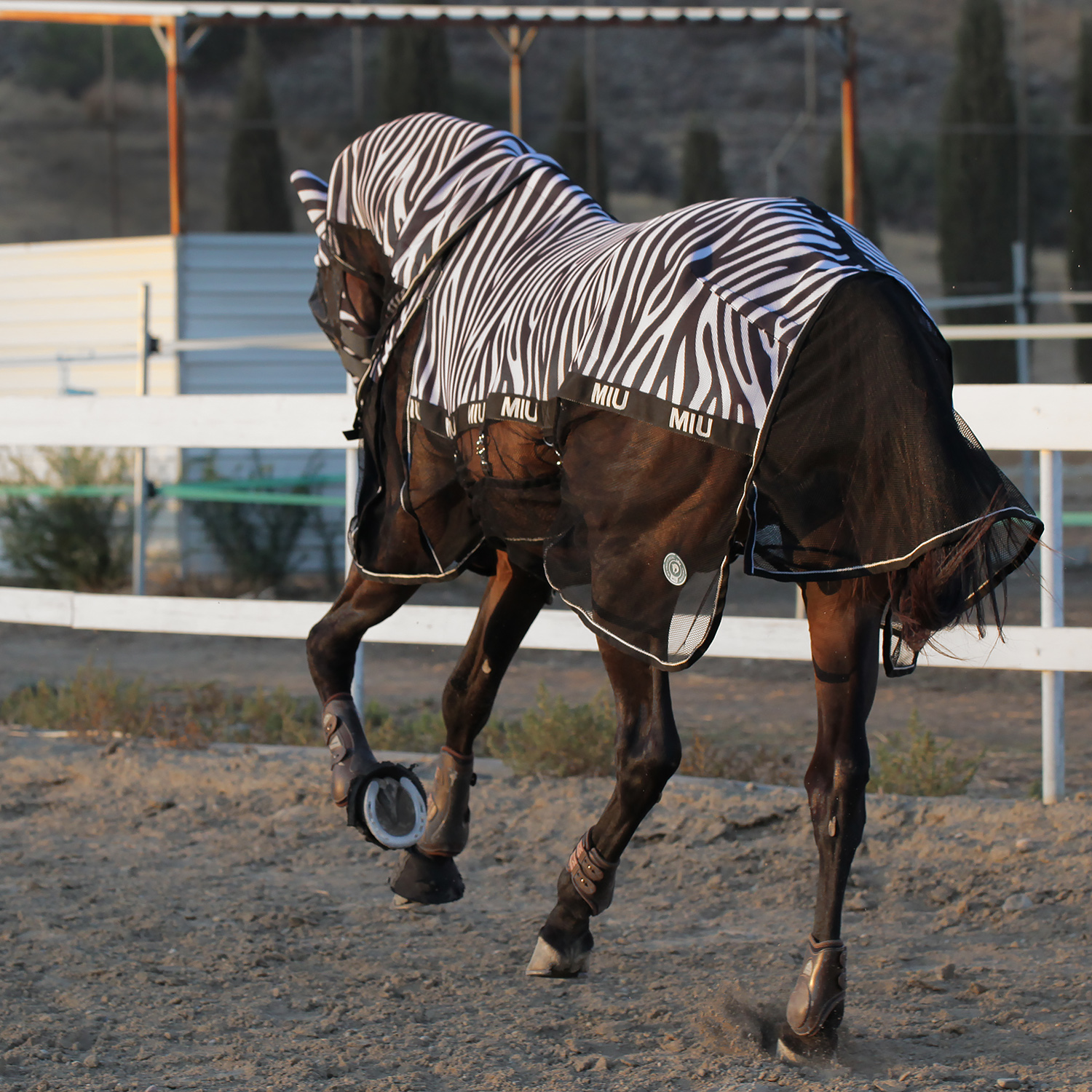 Попона антимоскитная AIR MAX ZEBRA с подпузником и съёмным капором