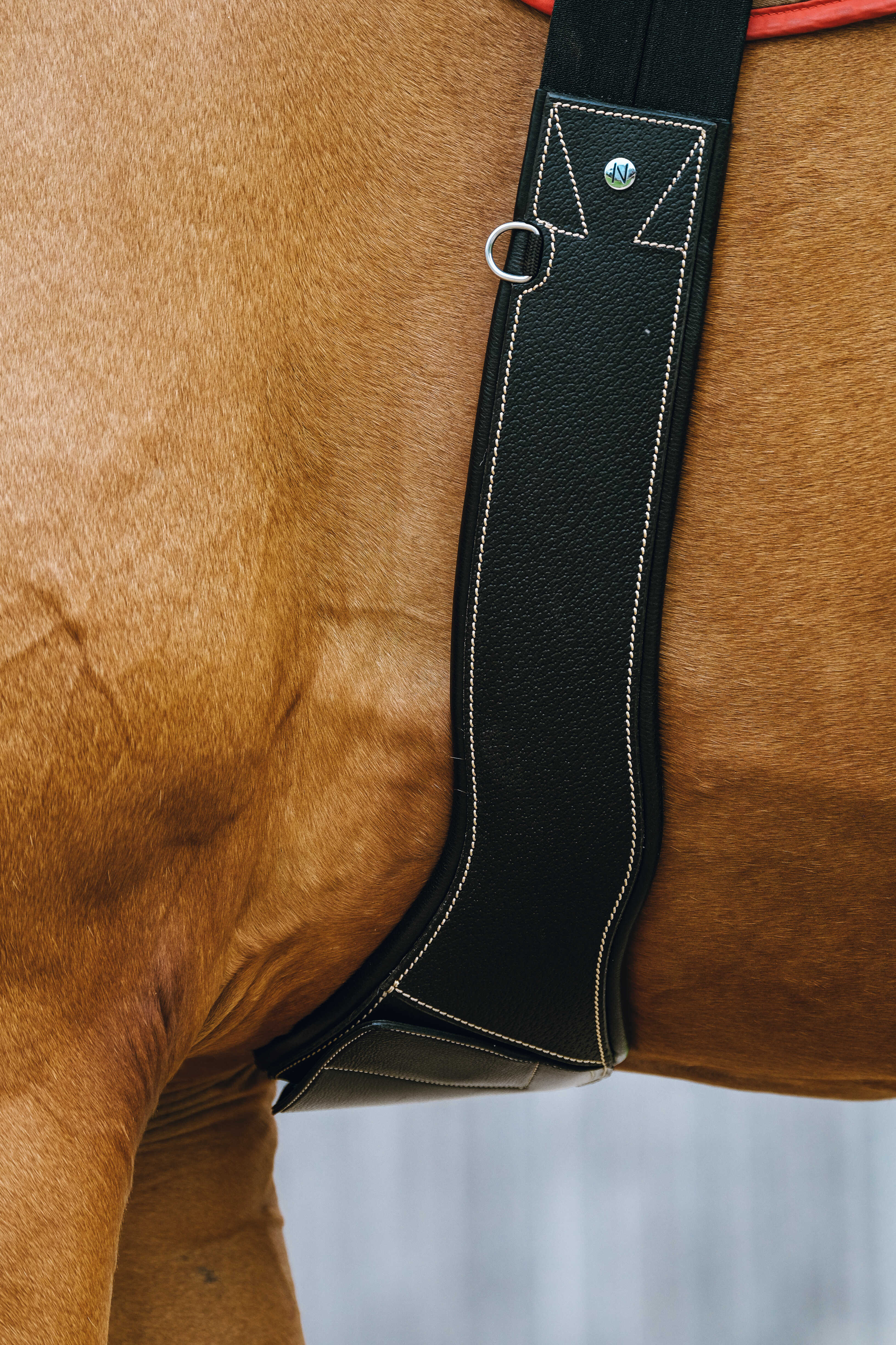 Подпруга анатомическая Magnet кожаная чёрный