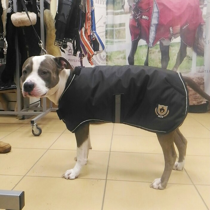 Попона для собаки зимняя 300 гр чёрный