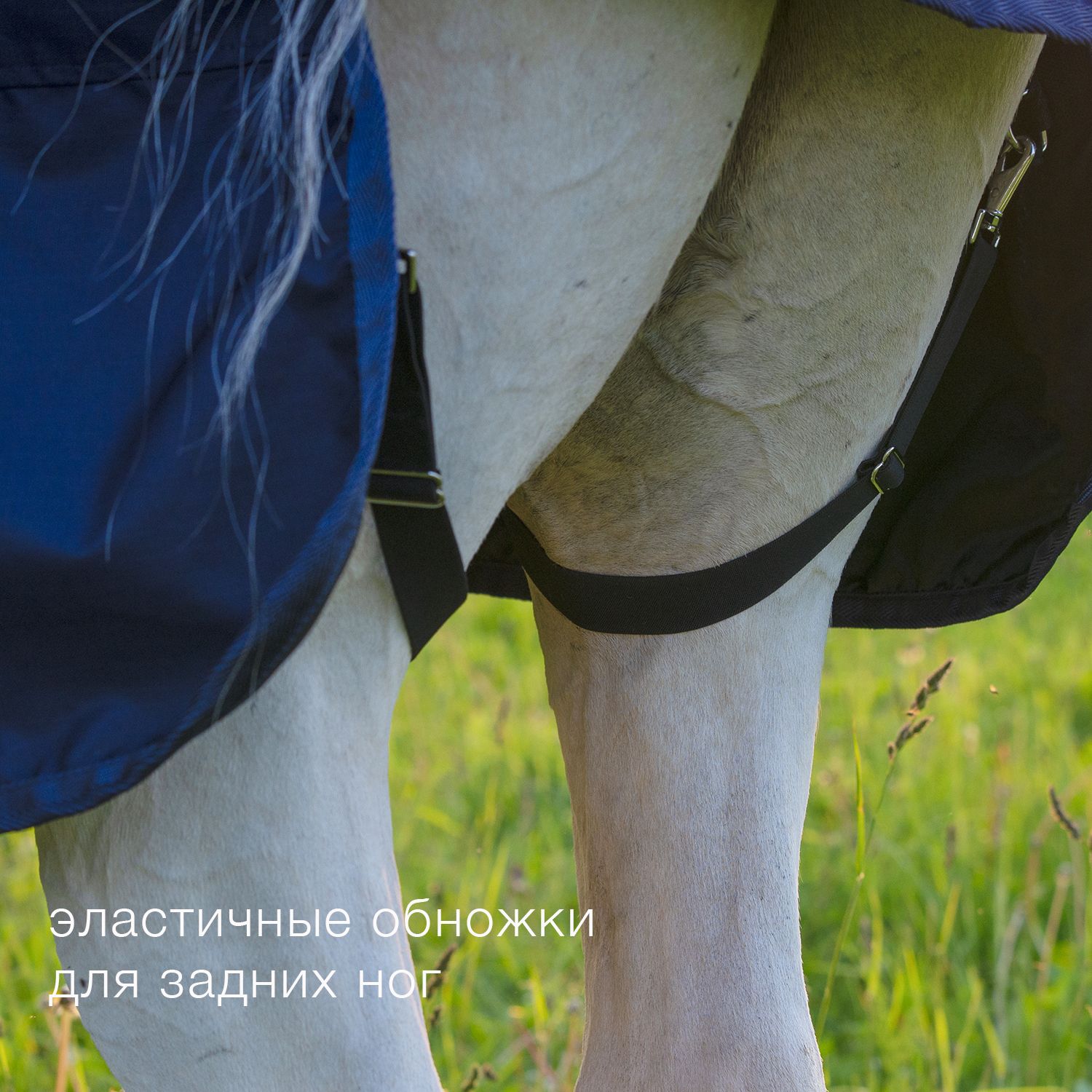 Обножки для задних ног эластичные, пара