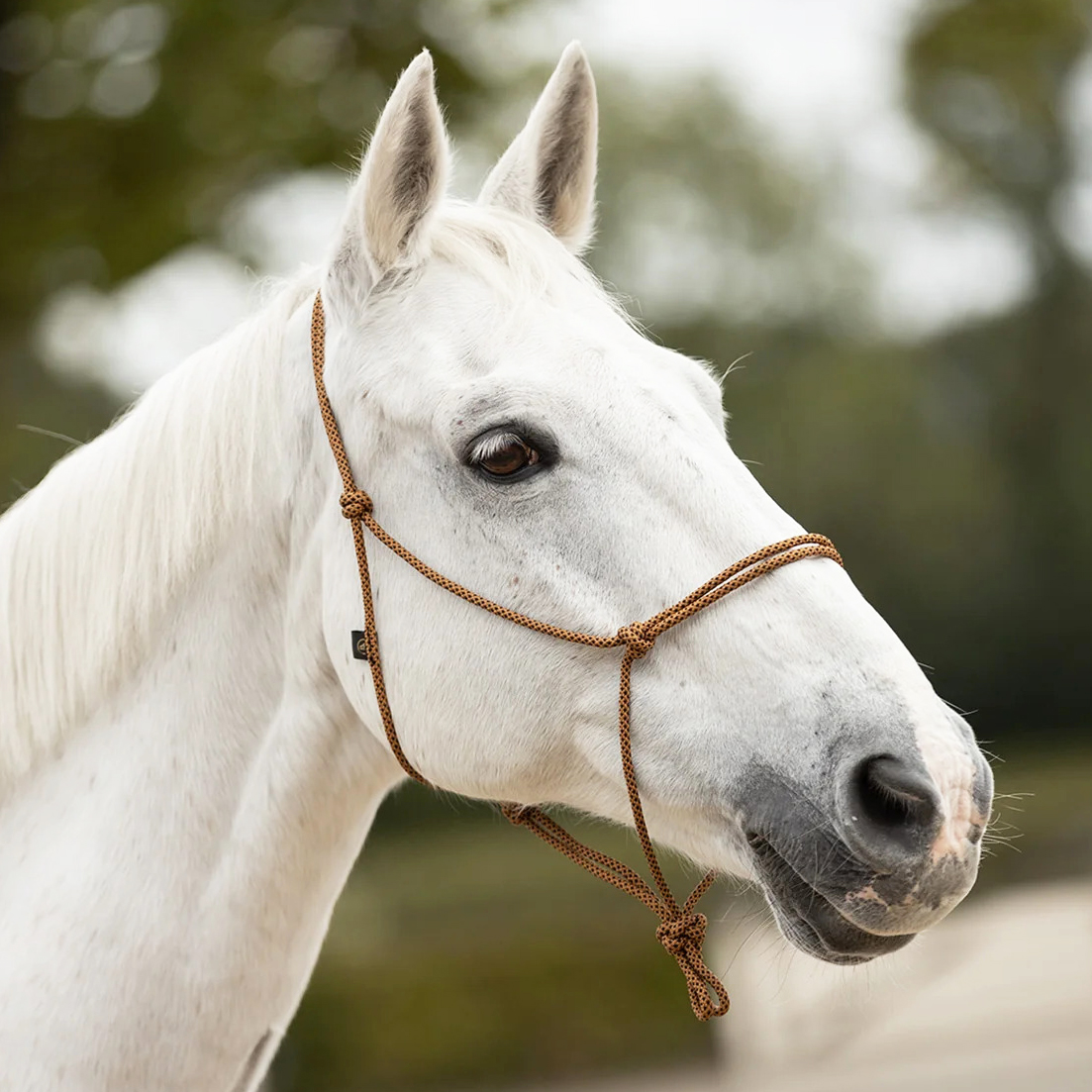 Недоуздок веревочный Rope Halter коричневый