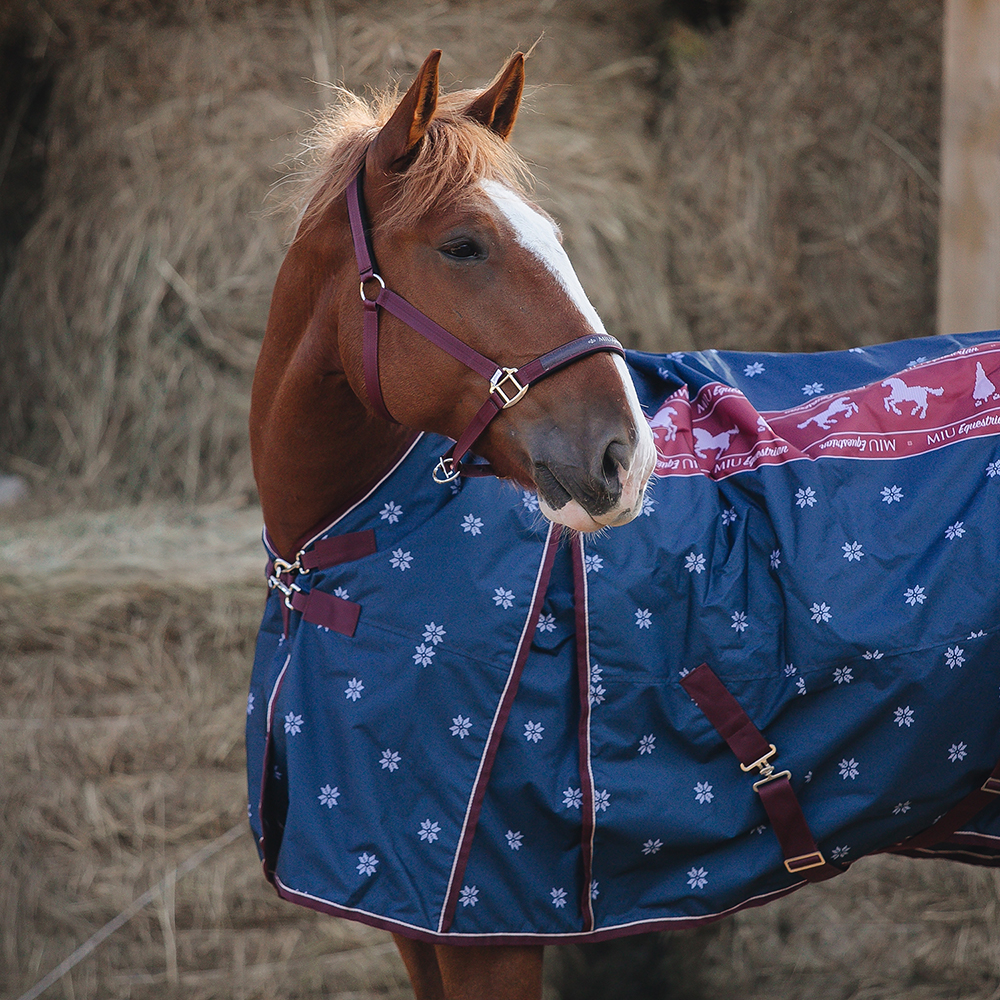 Попона прогулочная MIU Equestrian Avalanche, 300 гр принт