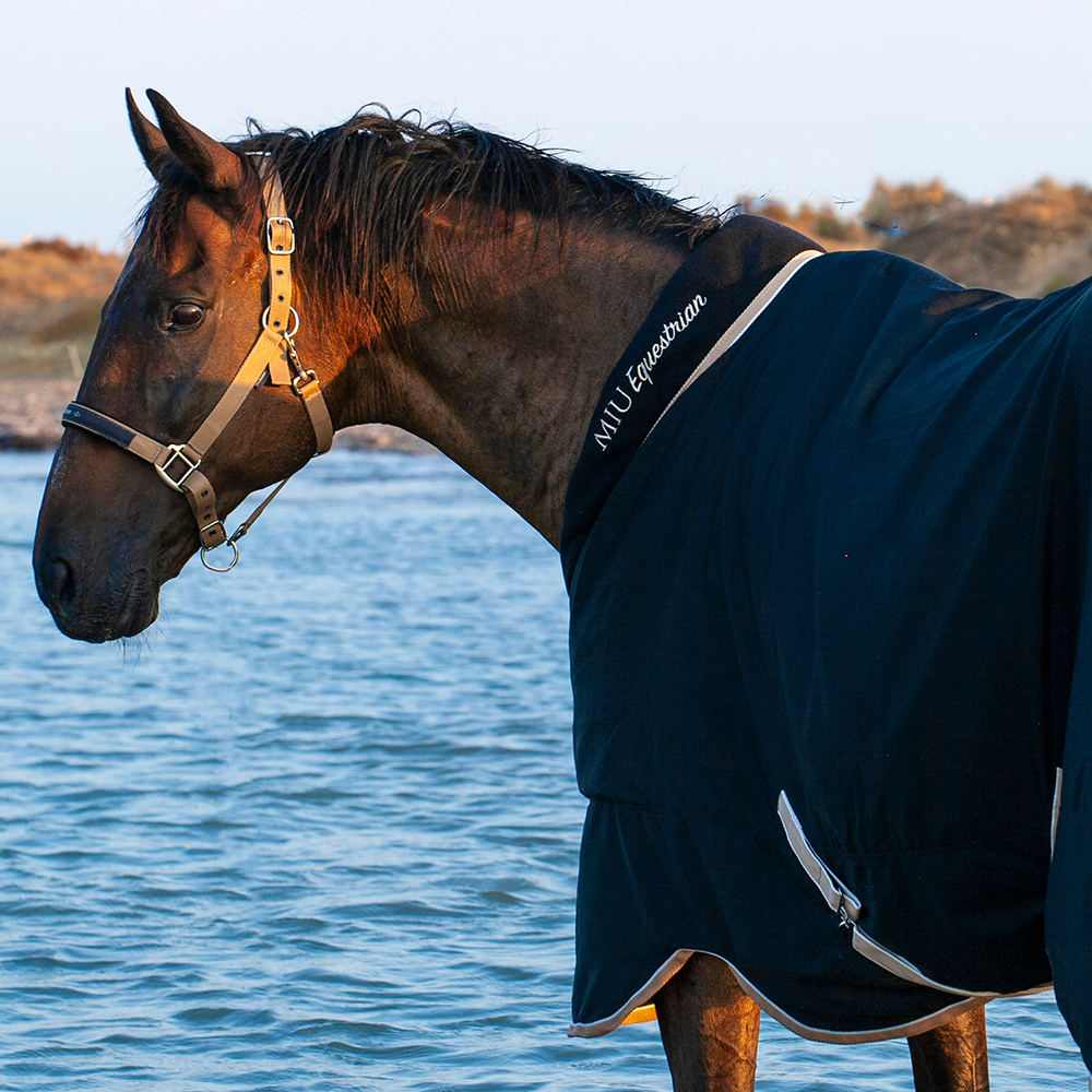 Попона денниковая GOLD MEDAL на вафельной подкладке чёрный