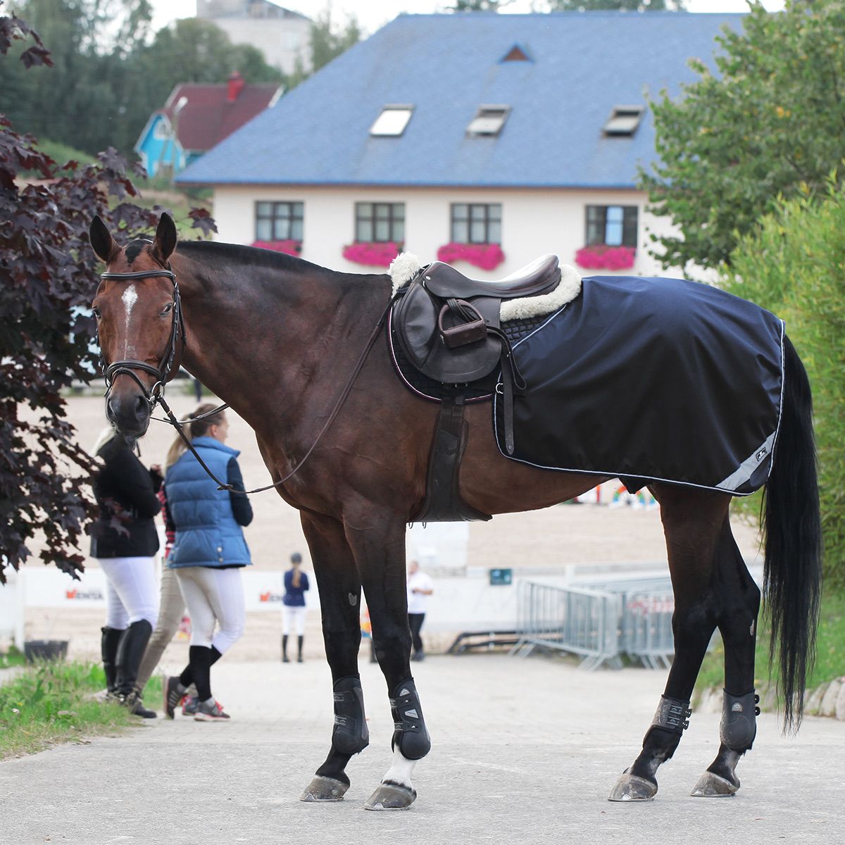 Полупопона RIDING на флисе чёрный