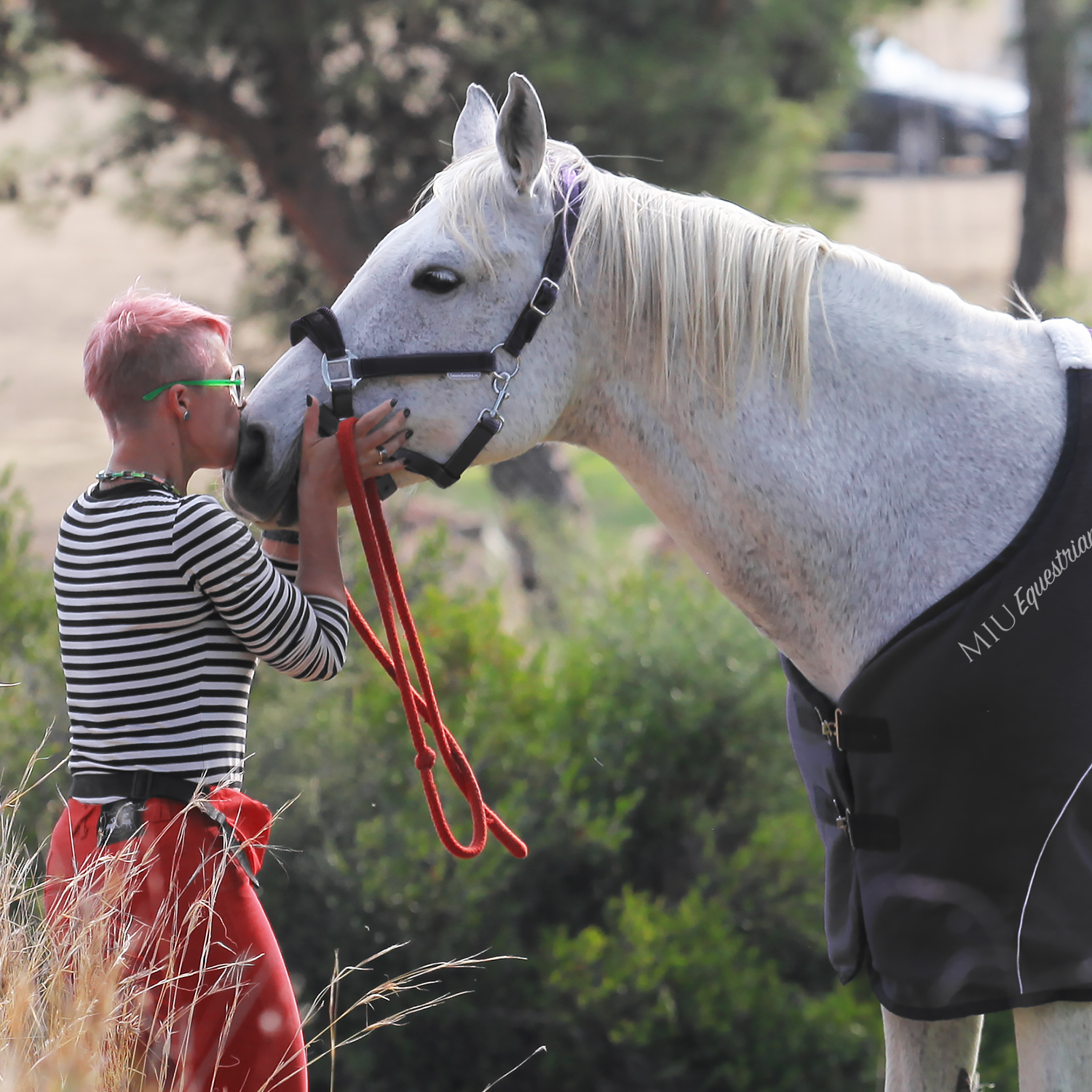 Недоуздок AIR MAX чёрный