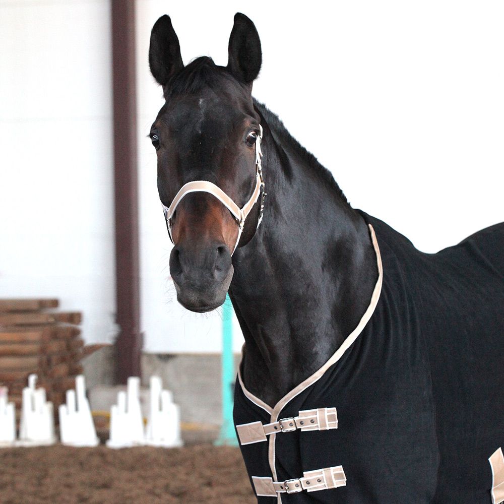 Попона флисовая BASIC чёрный