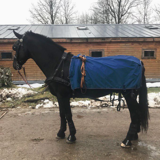 Полупопона для драйвинга DRIVING RUG на флисе синий