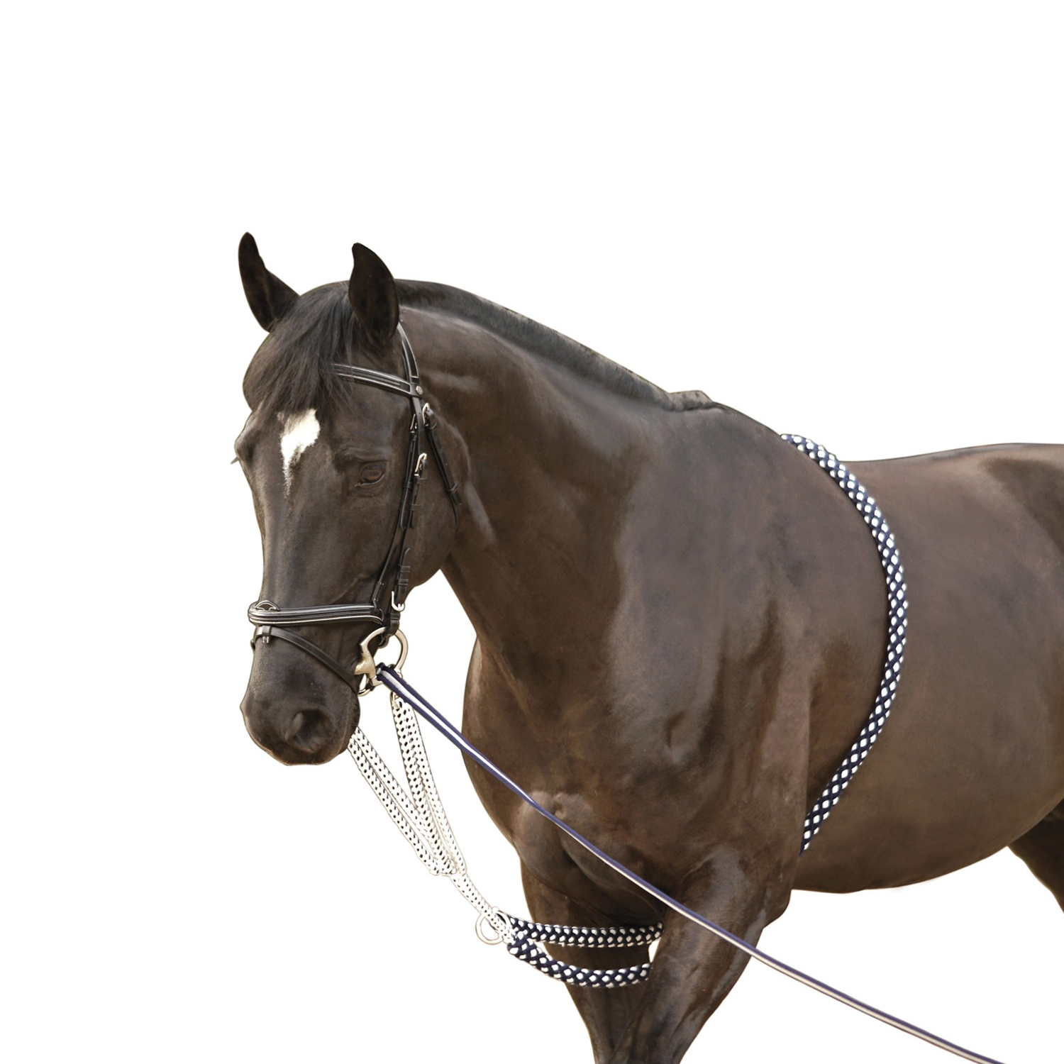 Кордовый помощник, лонжа 5,5м Первая Конная Мануфактура