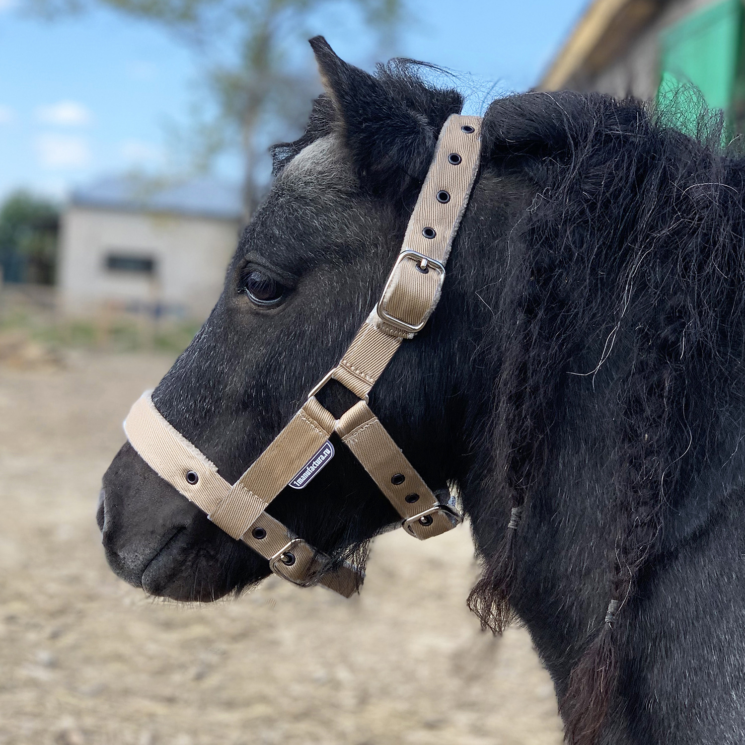 Недоуздок на пони и mini на флисе бежевый