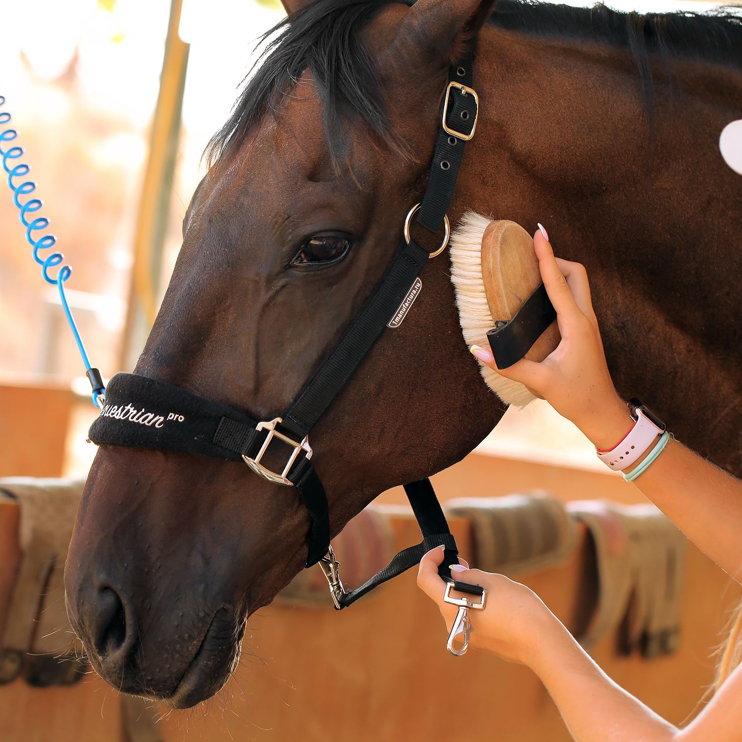 Недоуздок GROOMING HALTER чёрный