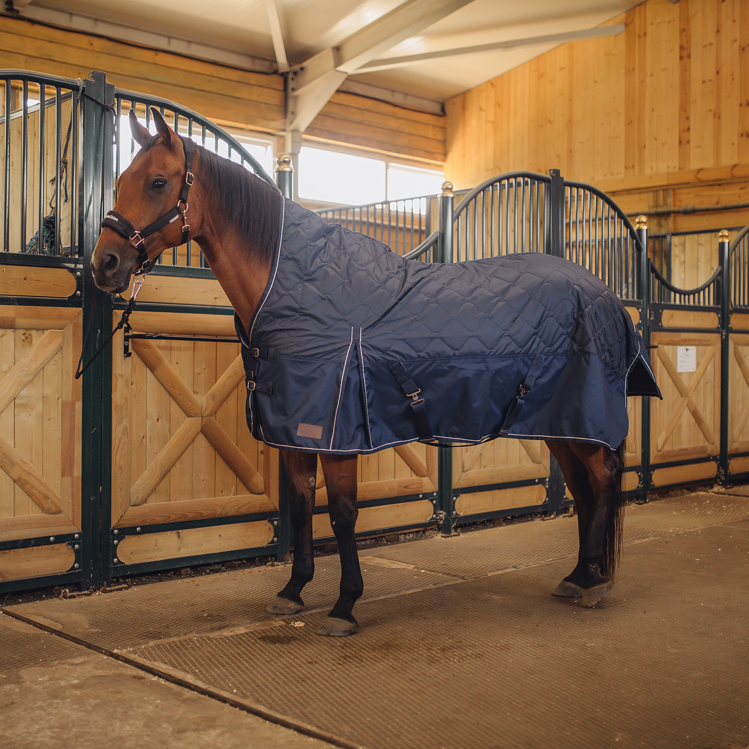 Попона денниковая PERFECT HORSE с высокой холкой, 150 гр