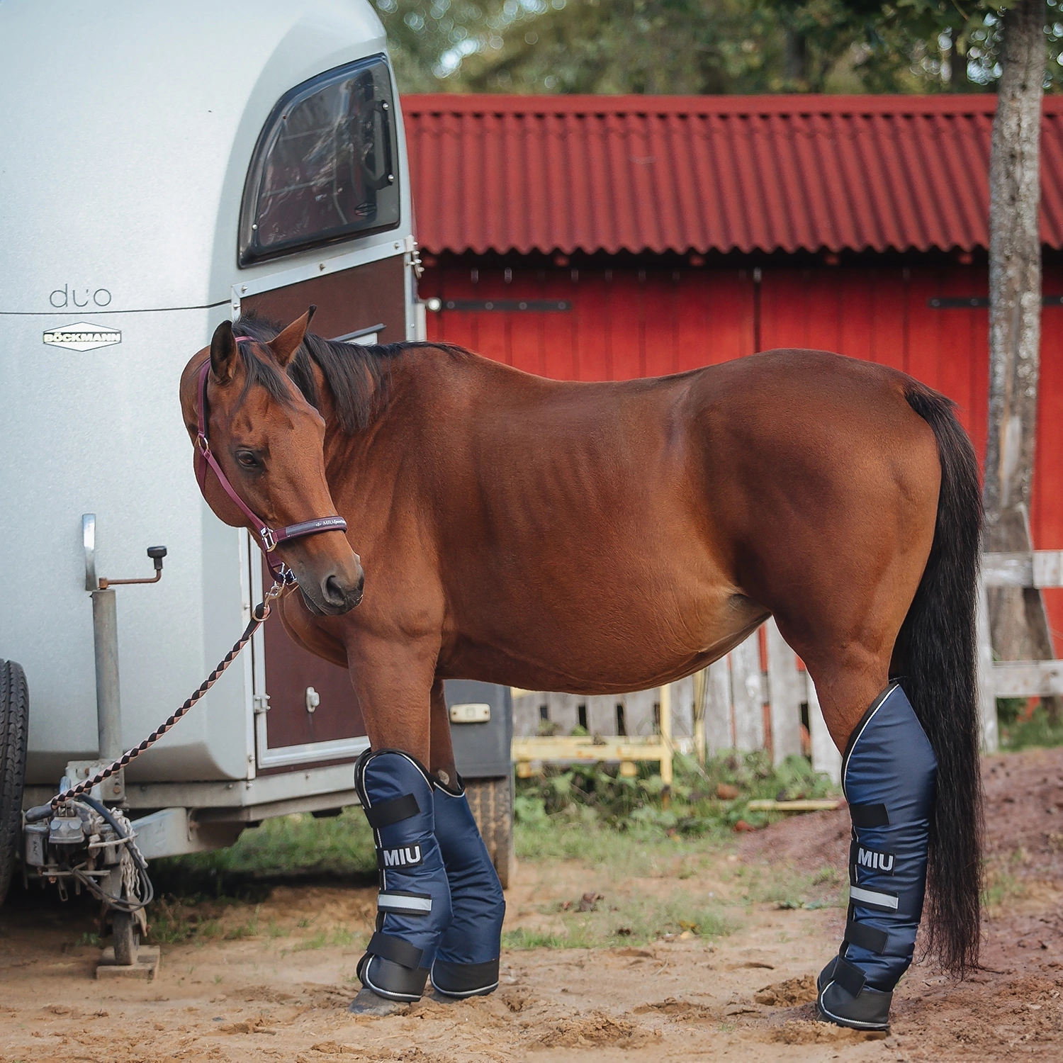 Ногавки транспортировочные GUARD BOOTS синий