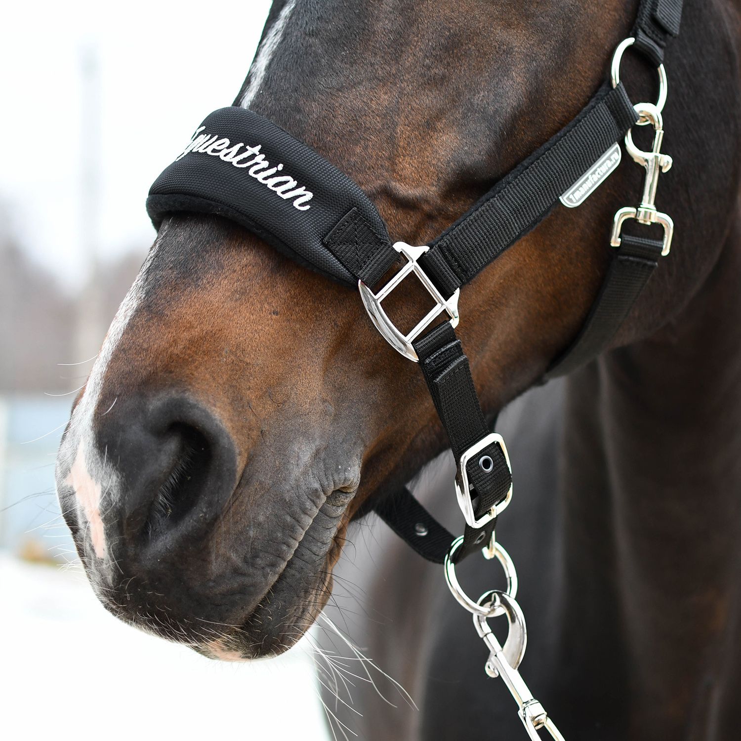 Недоуздок CARE чёрный