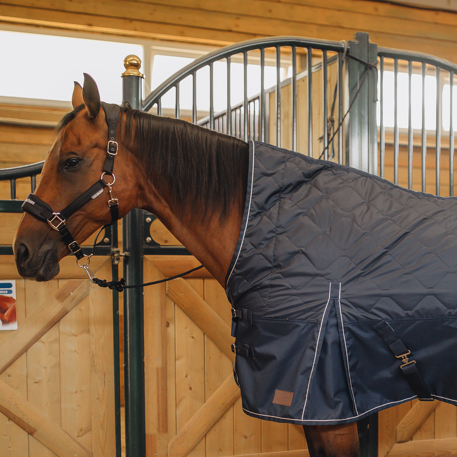 Попона денниковая PERFECT HORSE с высокой холкой, 150 гр