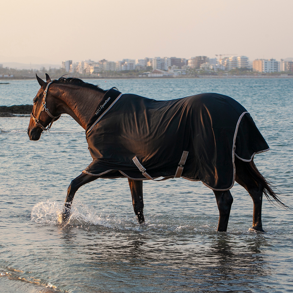 Попона денниковая GOLD MEDAL на вафельной подкладке чёрный