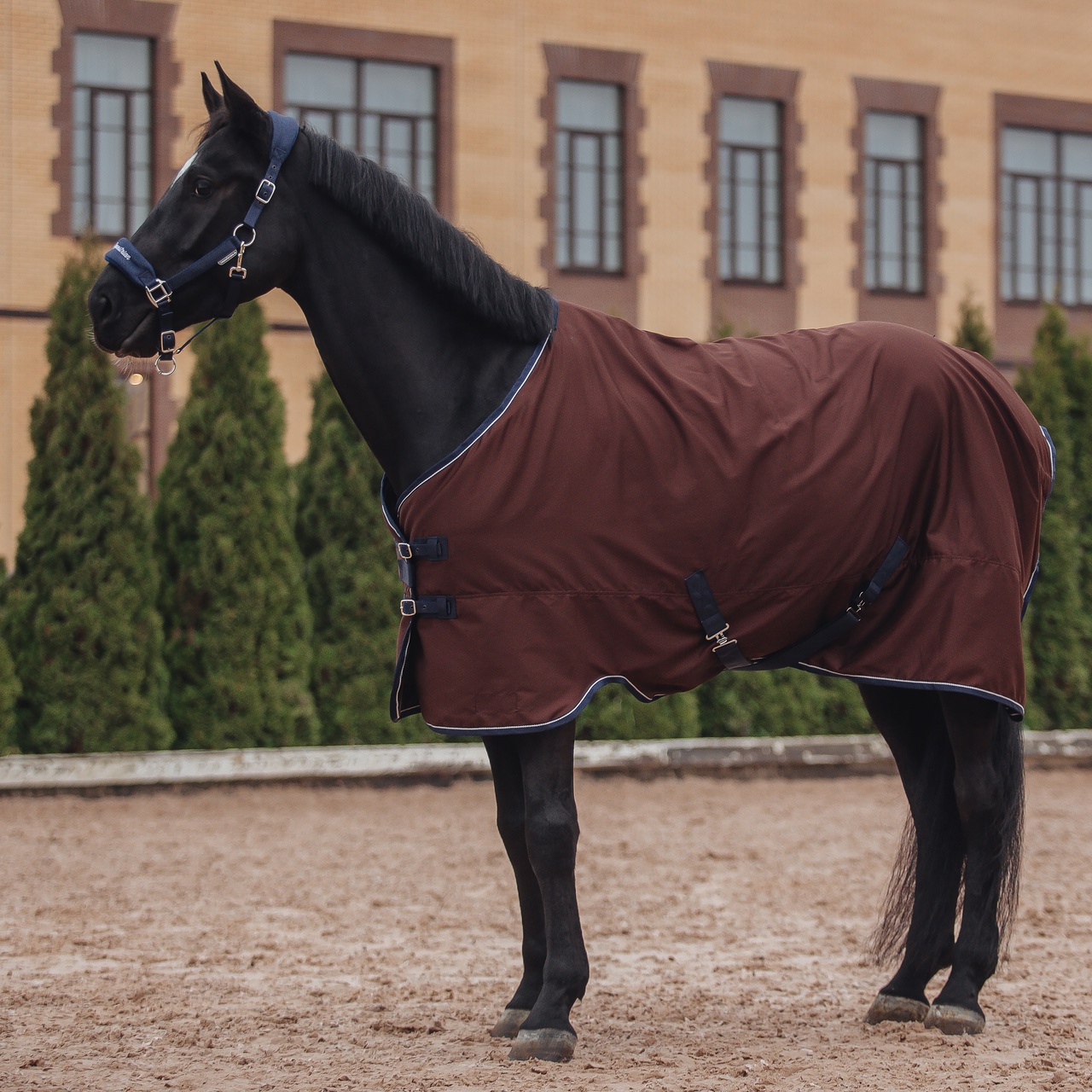 Попона денниковая FLEECE-LINED на флисе коричневый/синий