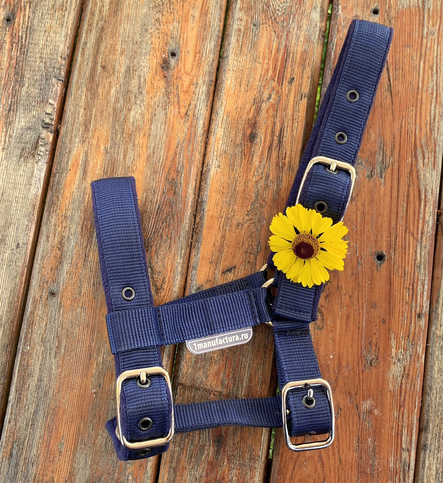 Недоуздок на пони и mini на флисе синий