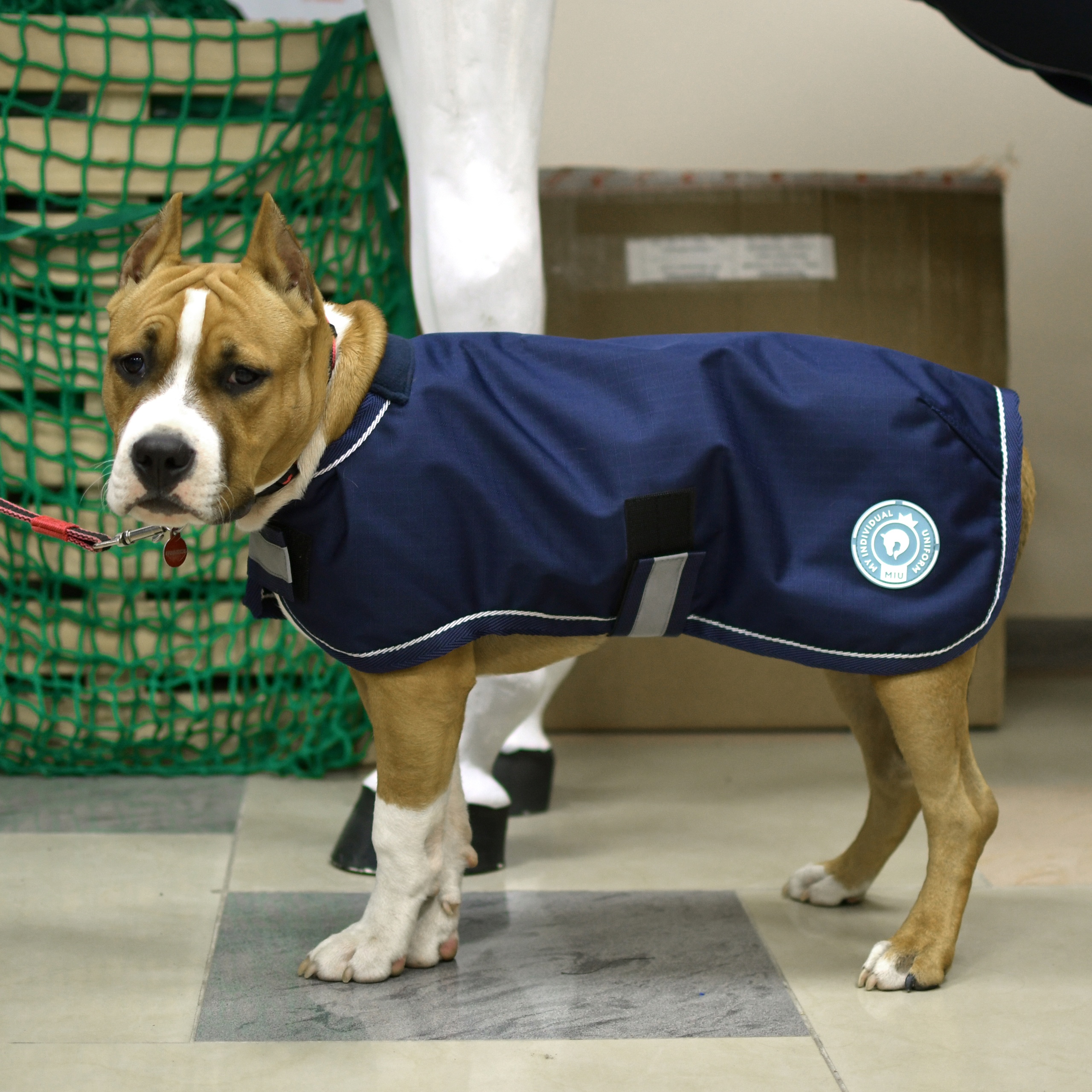 Попона для собаки Big на флисе синий