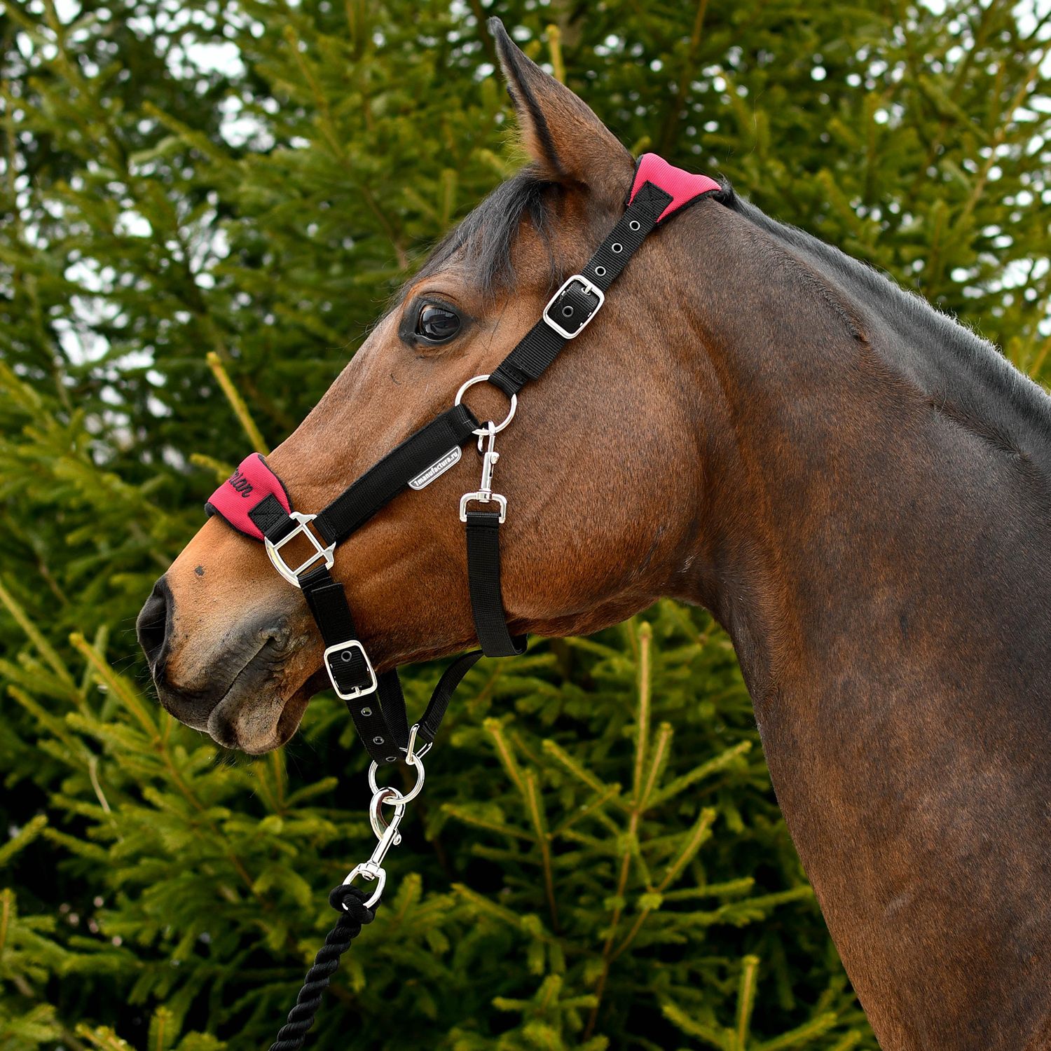 Недоуздок CARE бордо/чёрный