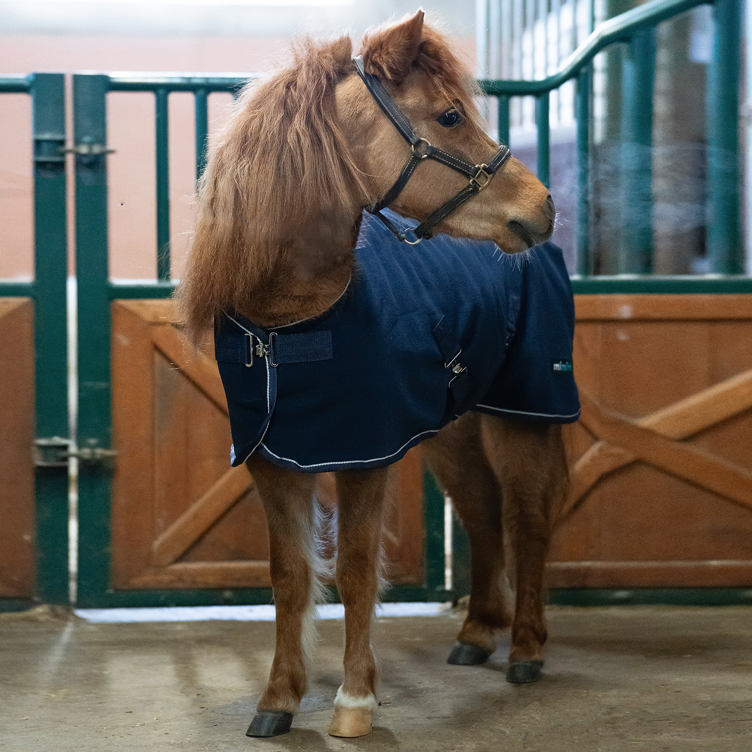 Попона флисовая minihorse FLEECE тёмно-синий первая конная мануфактура
