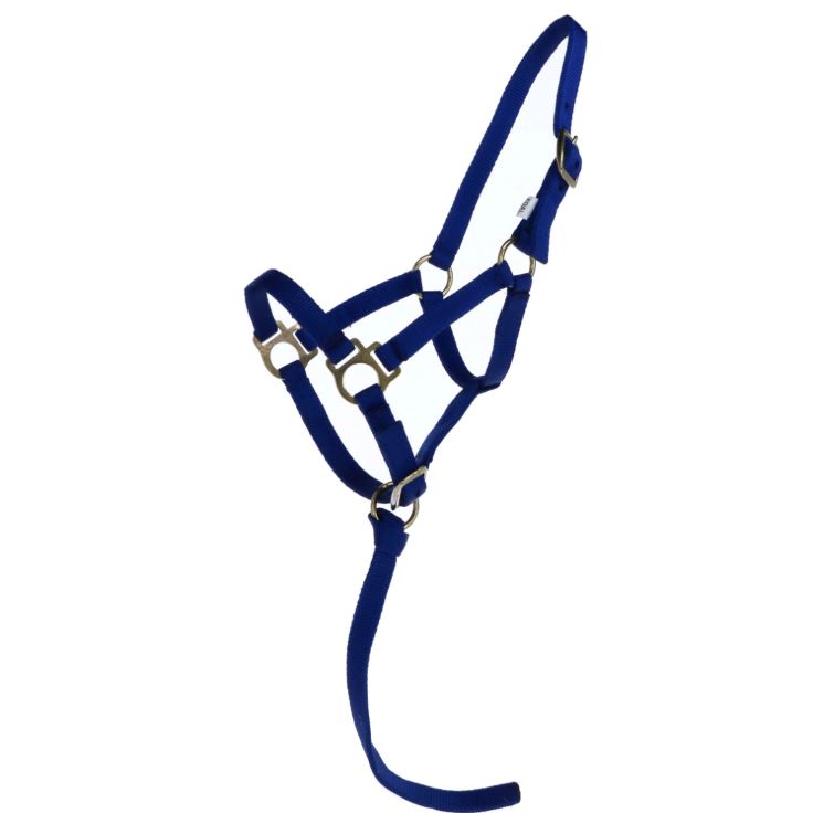 Недоуздок мини жеребенок василёк