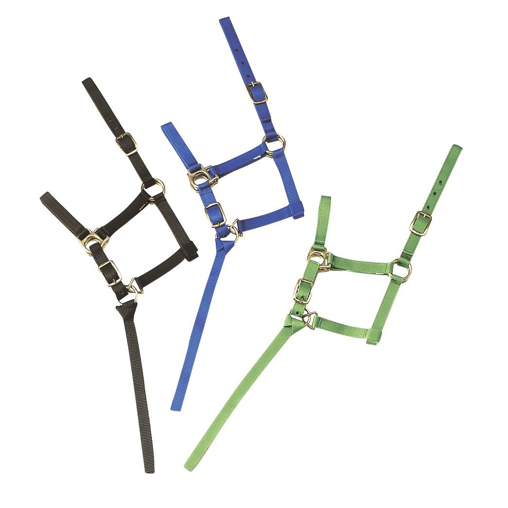 Недоуздок мини жеребенок чёрный