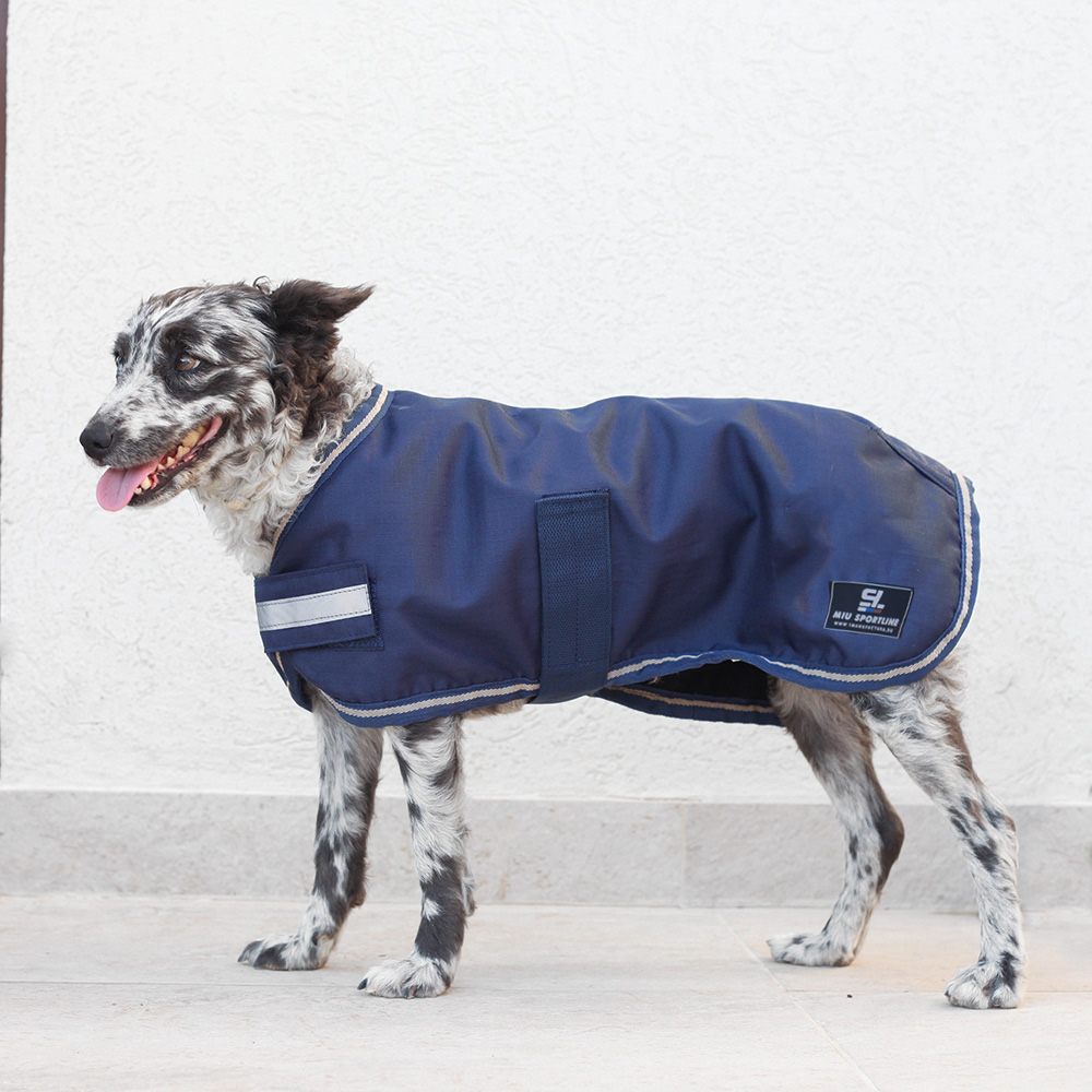 Попона для собаки зимняя 300 гр синий