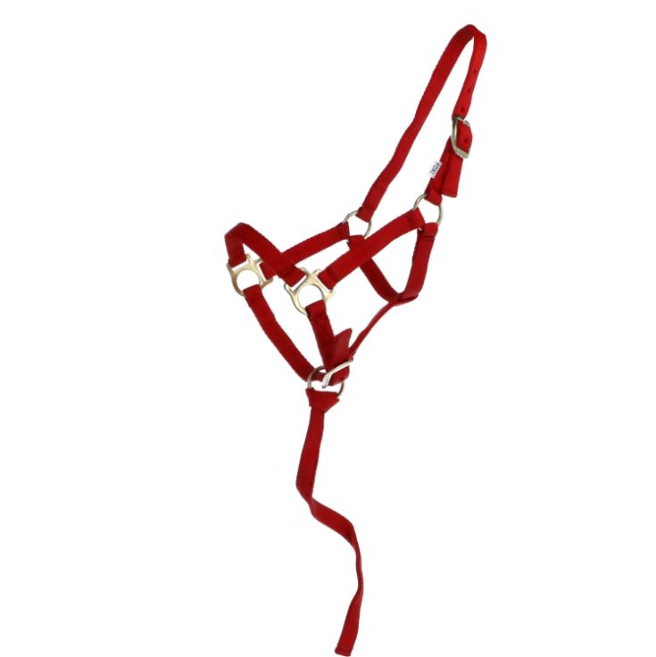 Недоуздок мини жеребенок красный