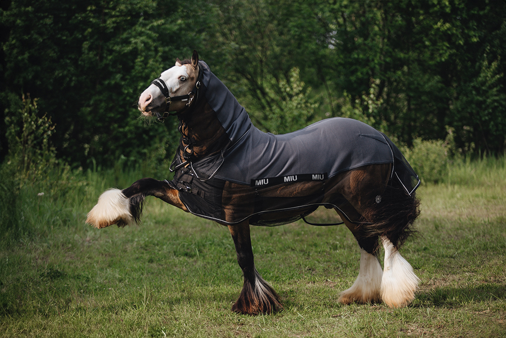 Попона антимоскитная AIR MAX с подпузником и капором серебристый