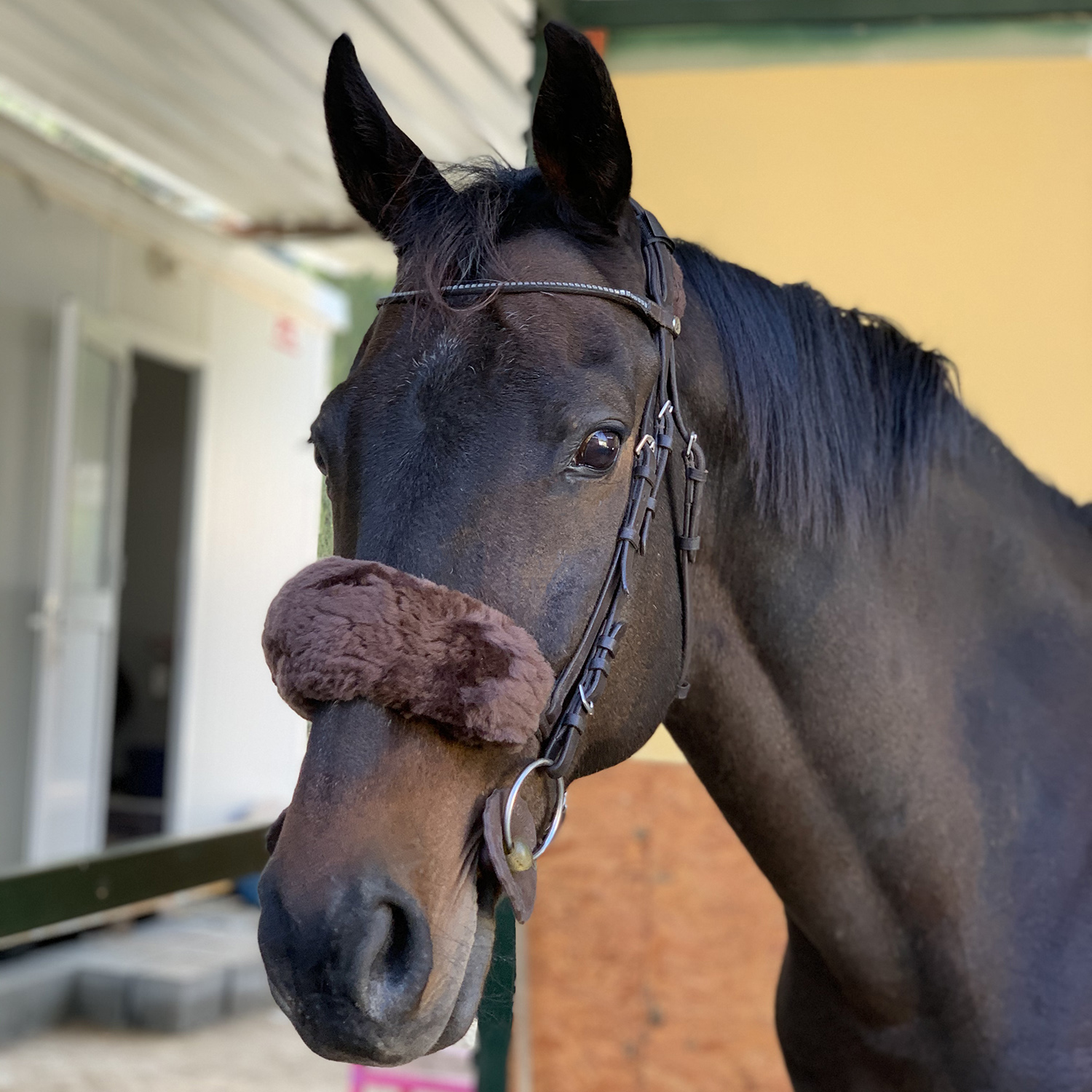 Меховушка на уздечку/недоуздок 25 см сплошная чёрный