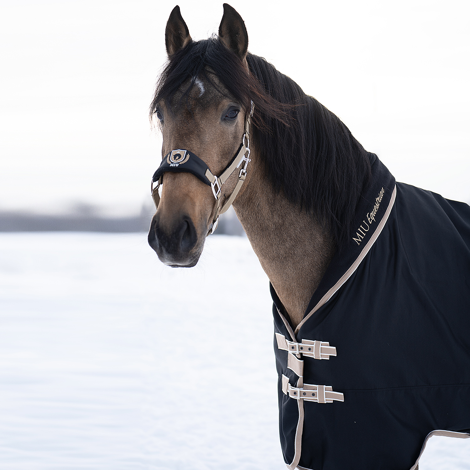 Попона денниковая GOLD MEDAL на вафельной подкладке чёрный