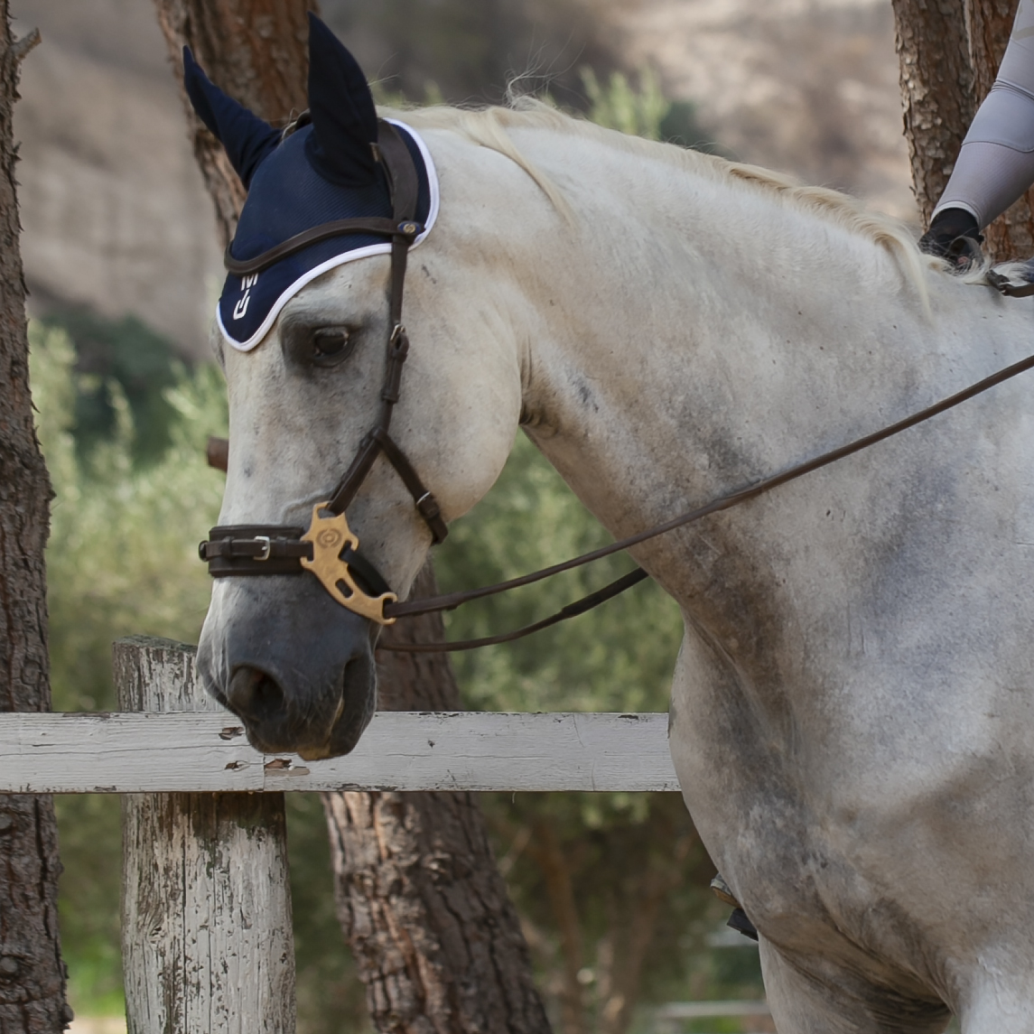 УШКИ SportLine синий/белый