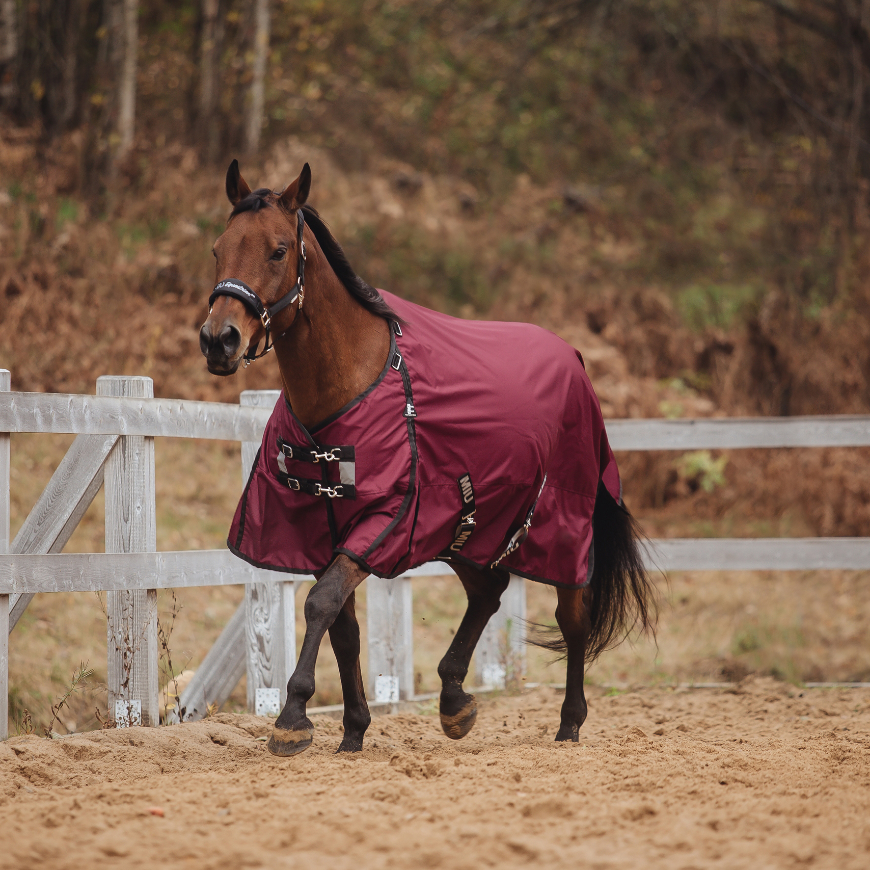 Попона прогулочная HONG KONG с капором бордо/кант чёрный