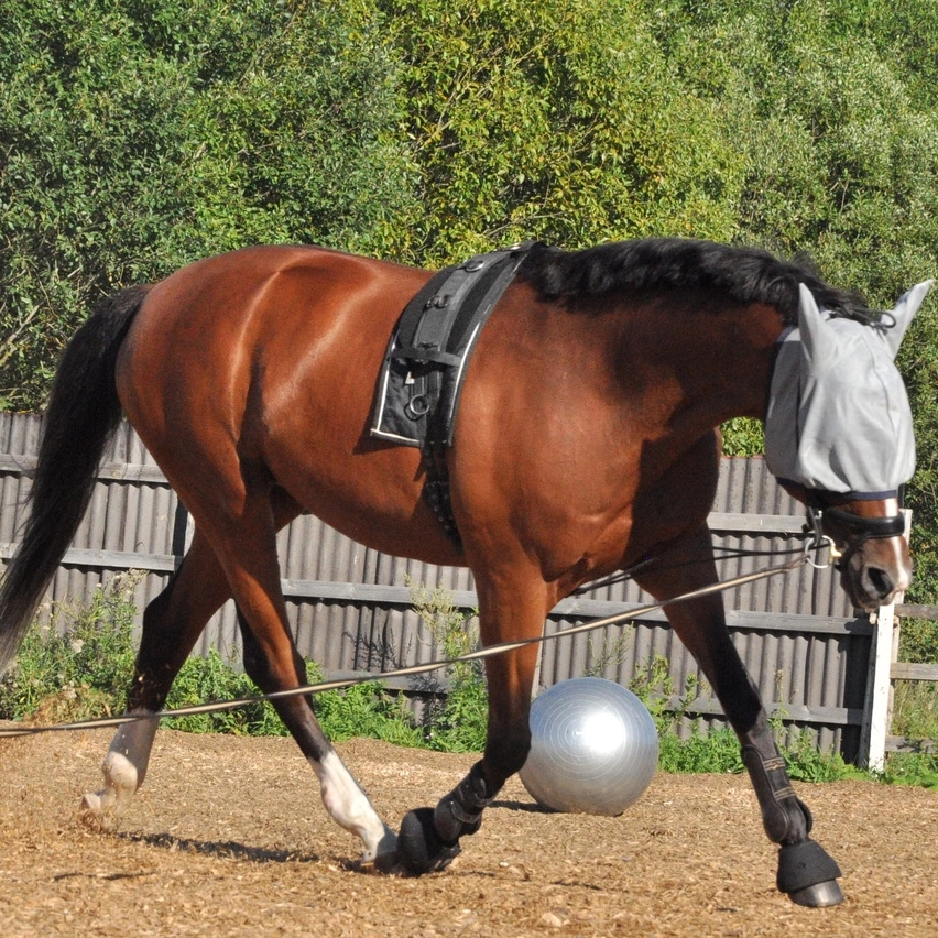 Амортизатор WITHER RELIEF PAD Zellkautschuk под гурту