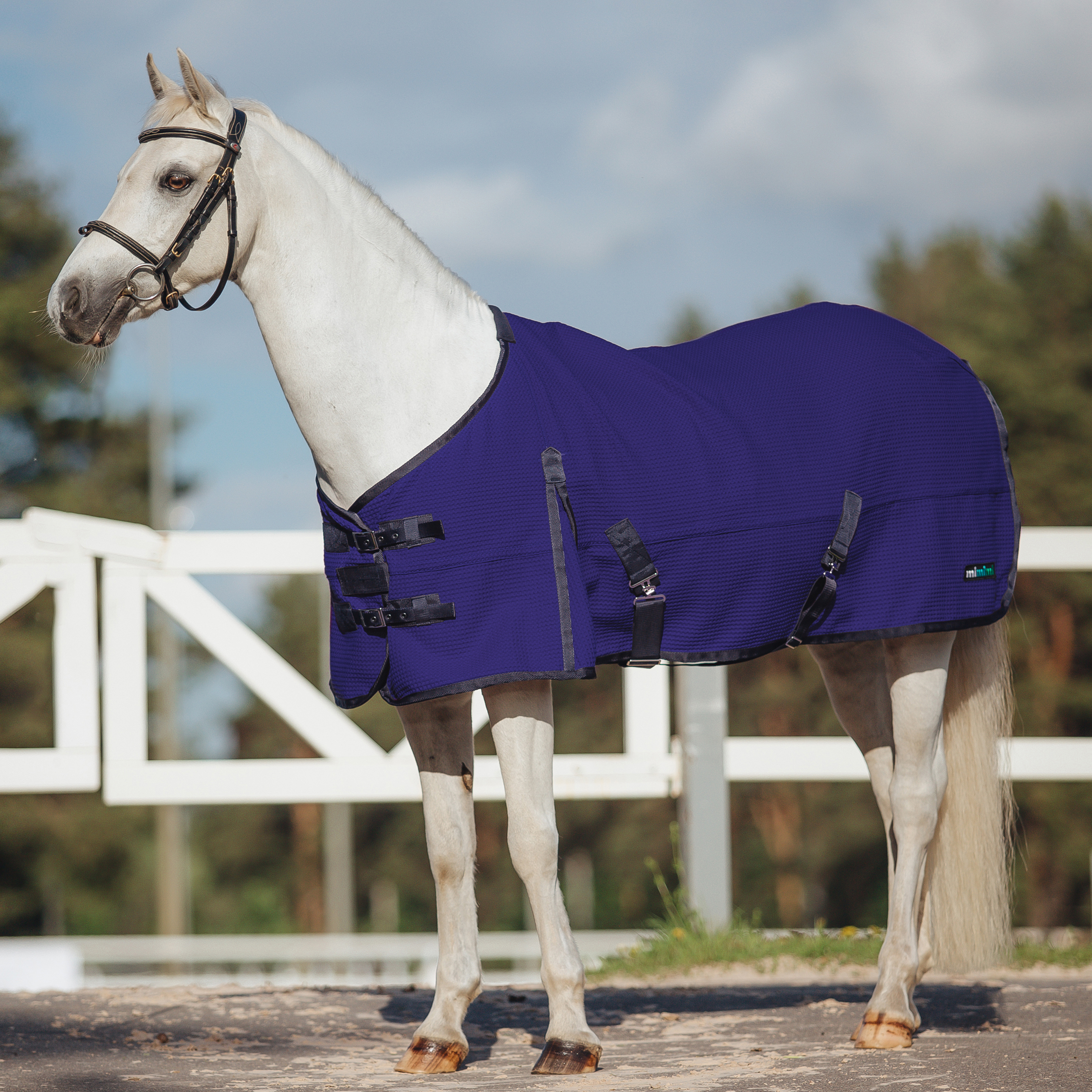 Попона вафельная Welsh WAFFLE синий