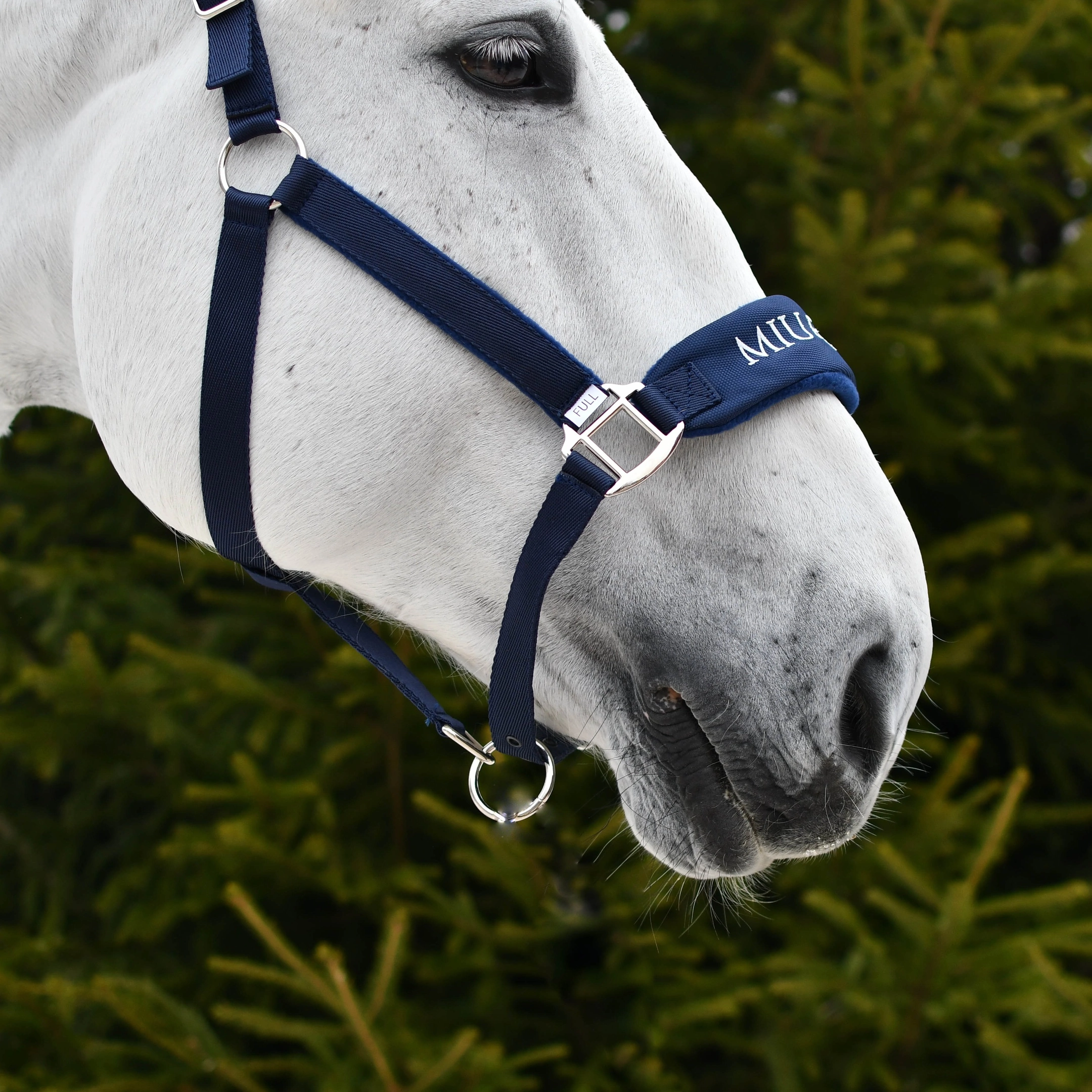 Недоуздок CARE синий