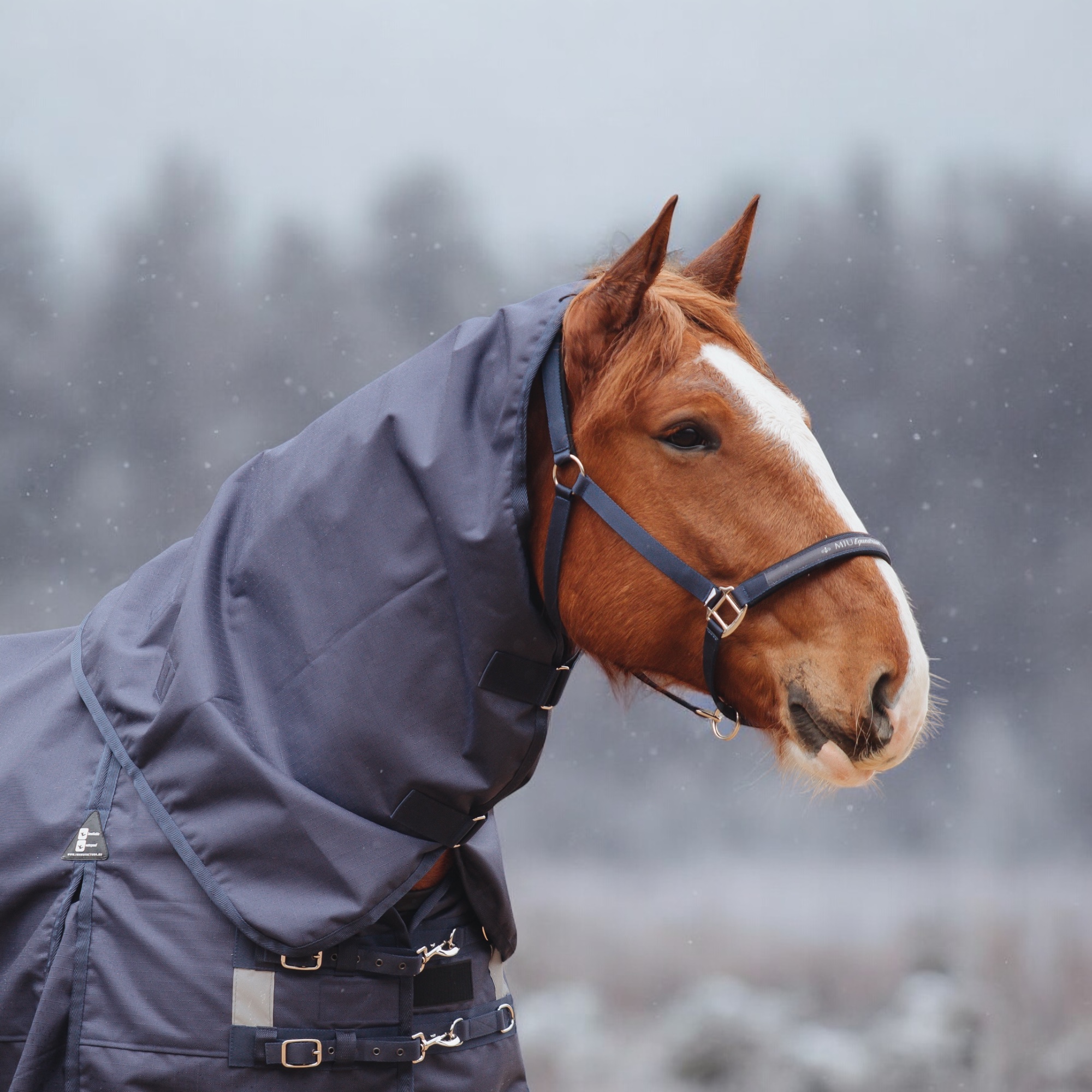 Попона прогулочная X-Strong 300 синий