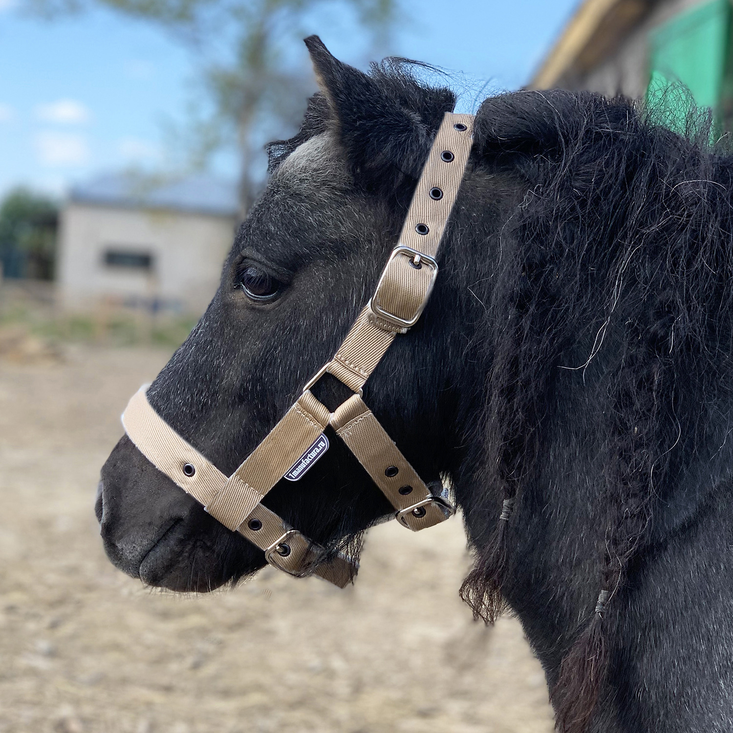 Недоуздок на пони и mini бежевый