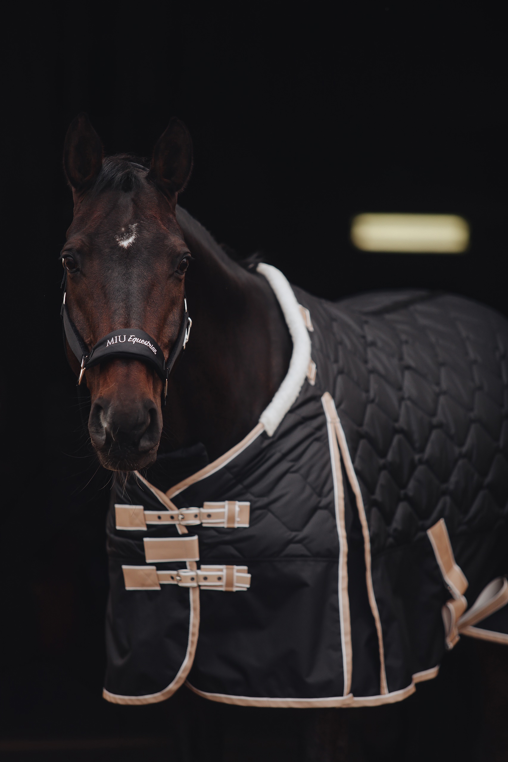 Попона денниковая BLACK STAR с капором, 300 гр