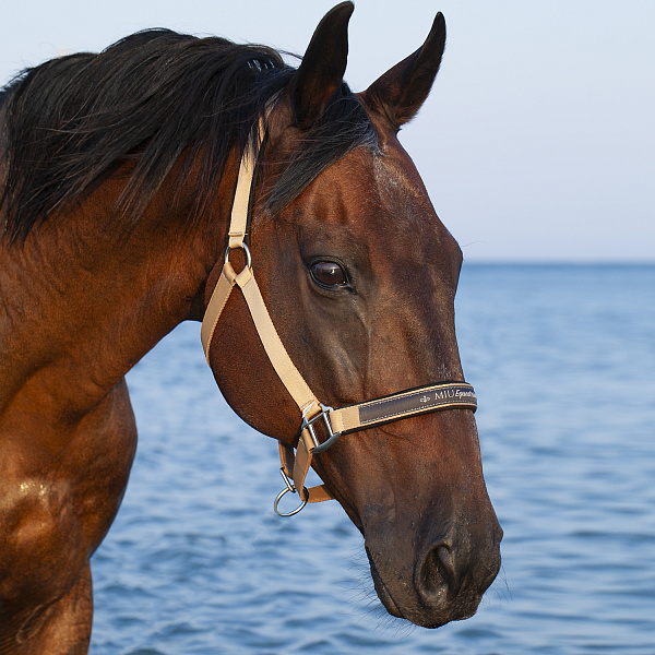 nedouzdok_na_neoprenovykh_podlozhkakh_miu_equestrian_neo_bezhevyy_pervaya_konnaya_manufaktura