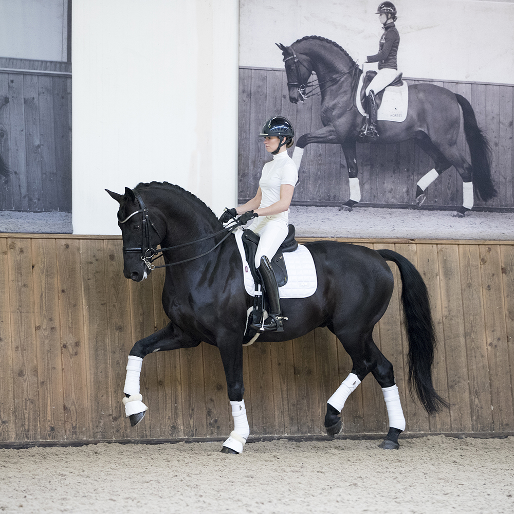 Вальтрап выездковый Loire Satin Classic белый