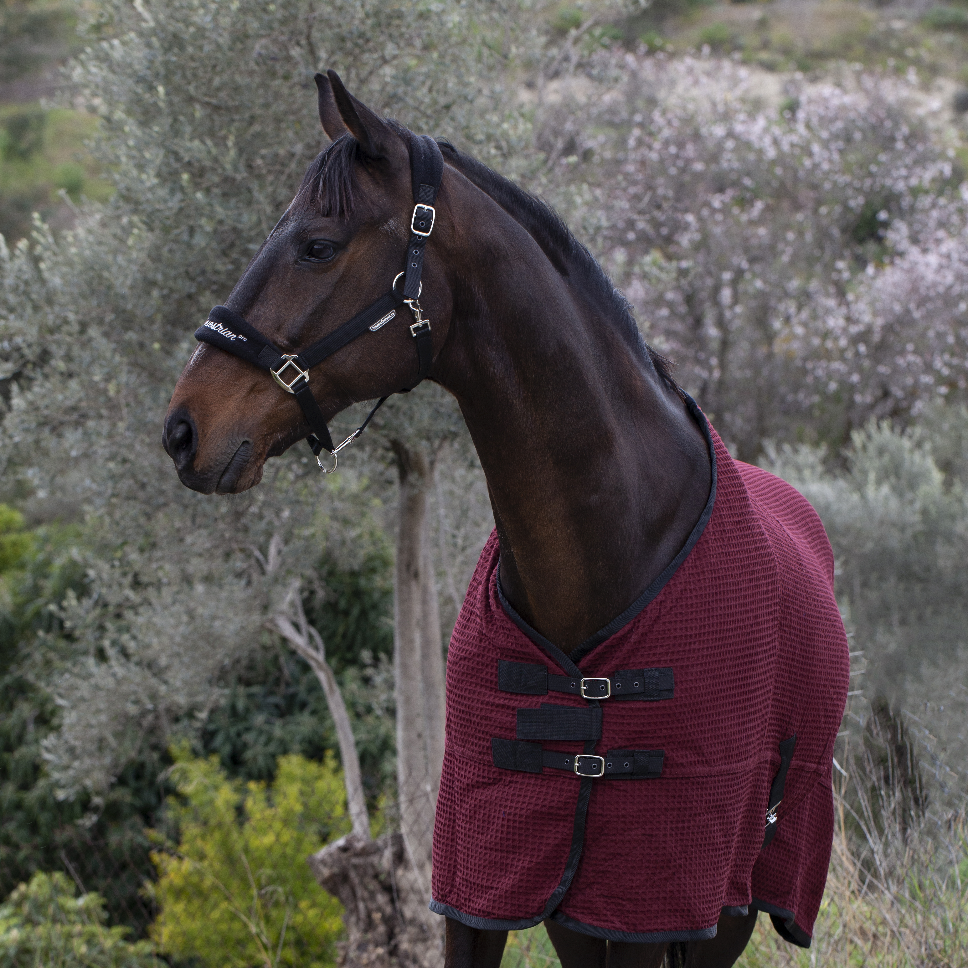 Попона вафельная MIU Equestrian Waffle Cooler бордо