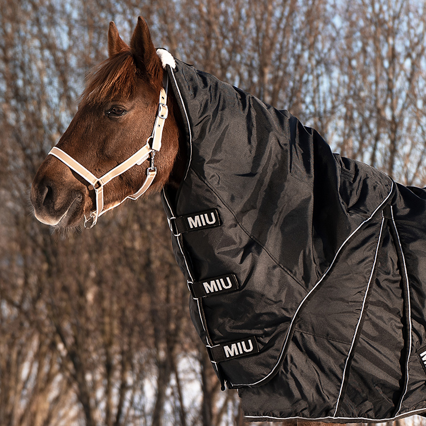 Капор для прогулочной попоны PEGASUS, 300 гр чёрный первая конная мануфактура