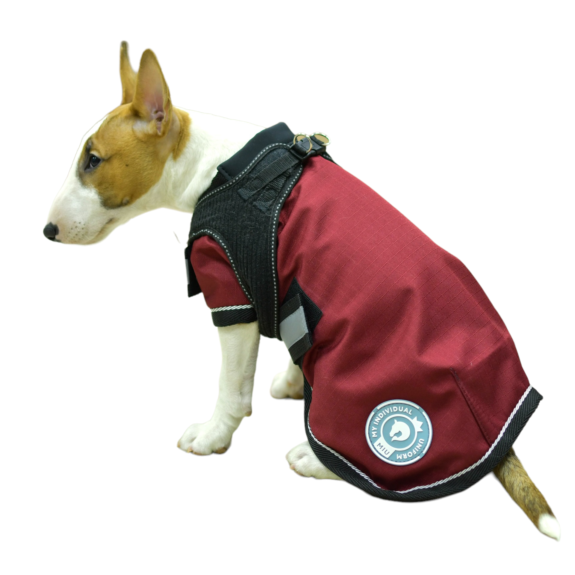 Попона для собаки на флисе бордо