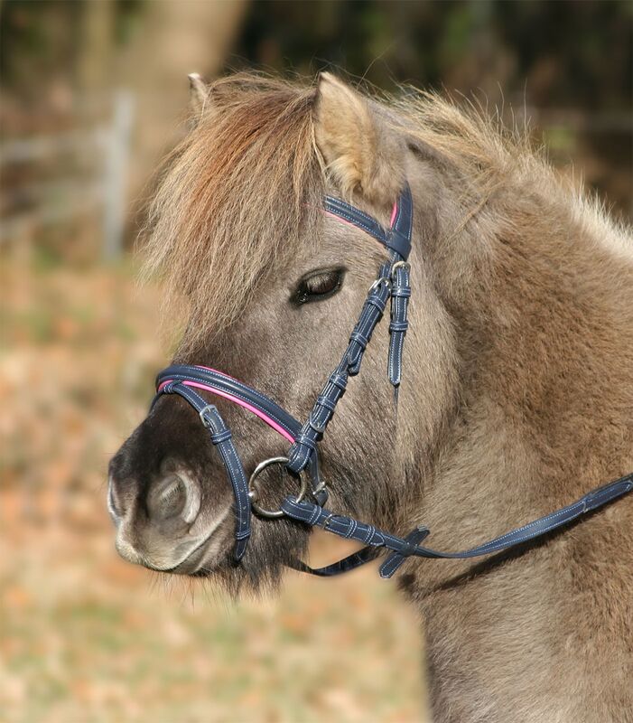 Уздечка для пони Unicorn синий/розовый Первая Конная Мануфактура