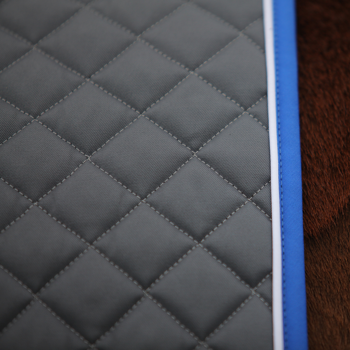 Вальтрап выездковый DRESSAGE серый/голубой