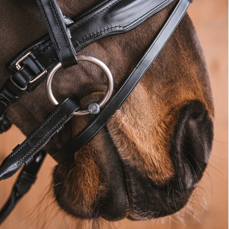 Трензель Fager под мундштук Madde, титан