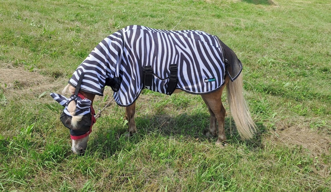 Попона антимоскитная с капором и подпузником mimimi minihorse Air Max Zebra, принт зебра Первая Конная Мануфактура