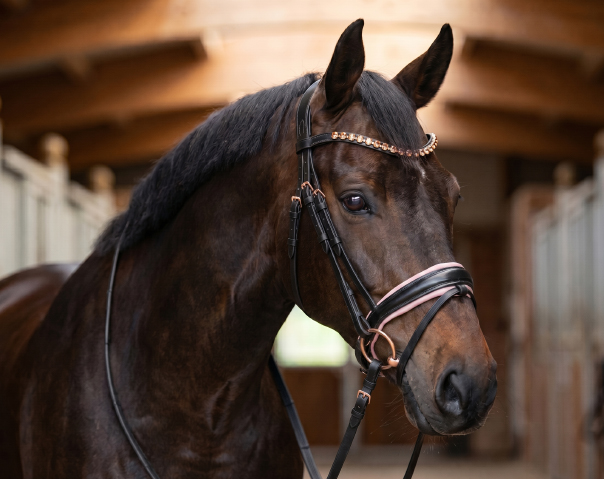Уздечки, железо и комплектующие
